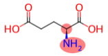 L-Glutamic acid