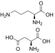 L-鳥氨酸 L-天門冬氨酸